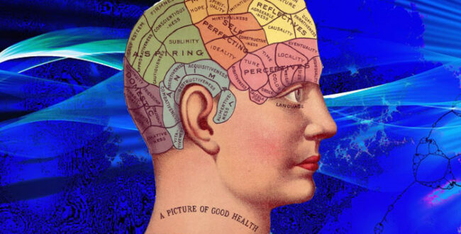 脳の部分別名称